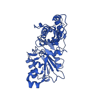 20711_6vao_D_v1-2
Human cofilin-1 decorated actin filament