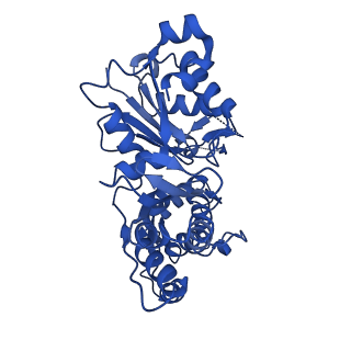 20711_6vao_E_v1-2
Human cofilin-1 decorated actin filament