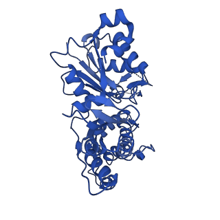 20711_6vao_E_v1-3
Human cofilin-1 decorated actin filament