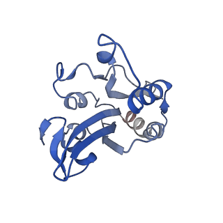 20711_6vao_F_v1-3
Human cofilin-1 decorated actin filament