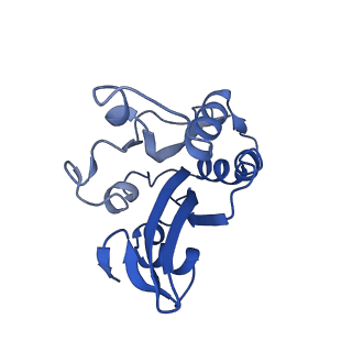 20711_6vao_I_v1-2
Human cofilin-1 decorated actin filament