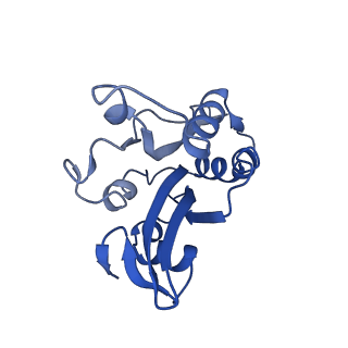 20711_6vao_I_v1-3
Human cofilin-1 decorated actin filament