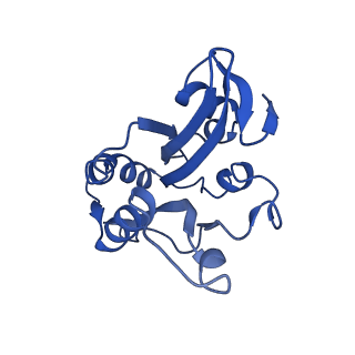 20711_6vao_J_v1-2
Human cofilin-1 decorated actin filament