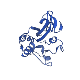 20711_6vao_J_v1-3
Human cofilin-1 decorated actin filament