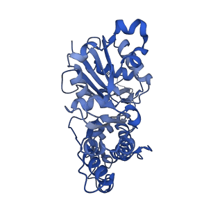 20719_6vau_B_v1-3
Bare actin filament from a partially cofilin-decorated sample