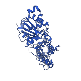 20719_6vau_D_v1-3
Bare actin filament from a partially cofilin-decorated sample