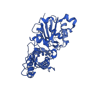 20719_6vau_E_v1-3
Bare actin filament from a partially cofilin-decorated sample