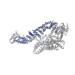 21137_6vad_B_v1-2
Fanconi Anemia ID complex