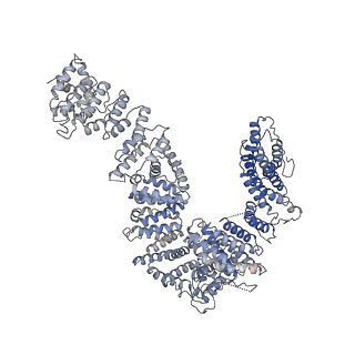 21139_6vaf_B_v1-1
Structure of mono-ubiquitinated FANCD2 bound to non-ubiquitinated FANCI and to DNA