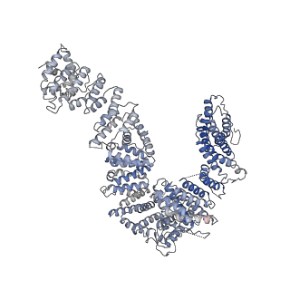 21139_6vaf_B_v1-2
Structure of mono-ubiquitinated FANCD2 bound to non-ubiquitinated FANCI and to DNA