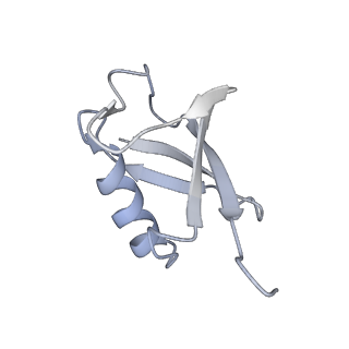 21139_6vaf_D_v1-1
Structure of mono-ubiquitinated FANCD2 bound to non-ubiquitinated FANCI and to DNA