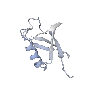 21139_6vaf_D_v1-2
Structure of mono-ubiquitinated FANCD2 bound to non-ubiquitinated FANCI and to DNA