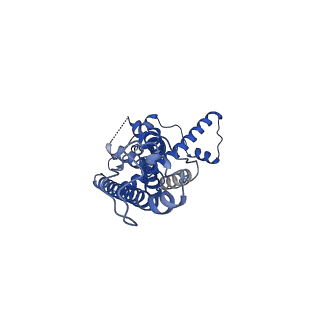 21140_6vai_B_v1-2
Cryo-EM structure of a dimer of undecameric human CALHM2