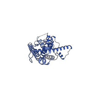 21140_6vai_C_v1-2
Cryo-EM structure of a dimer of undecameric human CALHM2