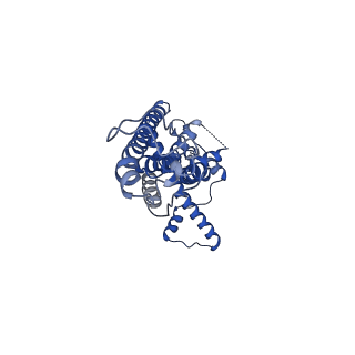21140_6vai_E_v1-2
Cryo-EM structure of a dimer of undecameric human CALHM2