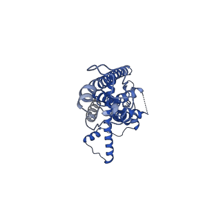 21140_6vai_F_v1-2
Cryo-EM structure of a dimer of undecameric human CALHM2