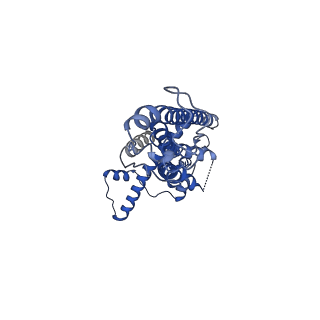 21140_6vai_G_v1-2
Cryo-EM structure of a dimer of undecameric human CALHM2