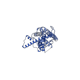 21140_6vai_H_v1-2
Cryo-EM structure of a dimer of undecameric human CALHM2