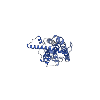 21140_6vai_I_v1-2
Cryo-EM structure of a dimer of undecameric human CALHM2