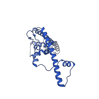 21140_6vai_L_v1-2
Cryo-EM structure of a dimer of undecameric human CALHM2