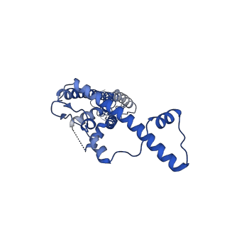 21140_6vai_M_v1-2
Cryo-EM structure of a dimer of undecameric human CALHM2