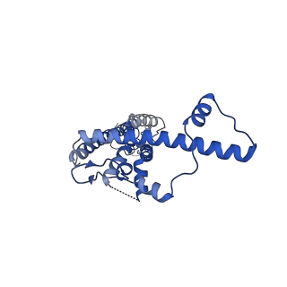 21140_6vai_N_v1-2
Cryo-EM structure of a dimer of undecameric human CALHM2