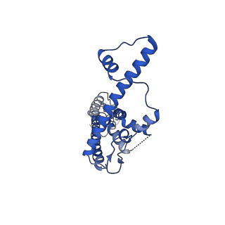 21140_6vai_P_v1-2
Cryo-EM structure of a dimer of undecameric human CALHM2