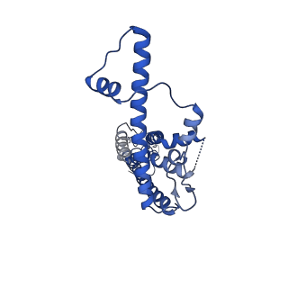 21140_6vai_Q_v1-2
Cryo-EM structure of a dimer of undecameric human CALHM2