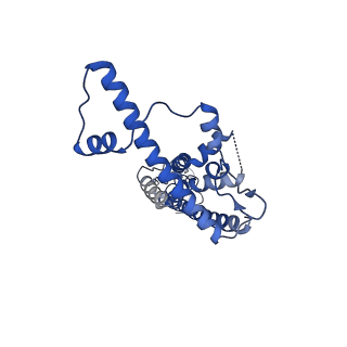 21140_6vai_R_v1-2
Cryo-EM structure of a dimer of undecameric human CALHM2