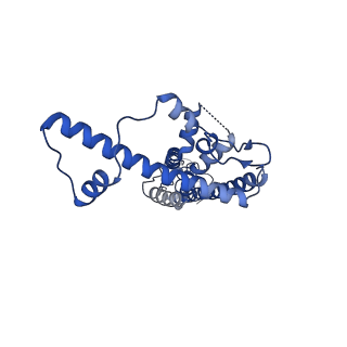 21140_6vai_S_v1-2
Cryo-EM structure of a dimer of undecameric human CALHM2
