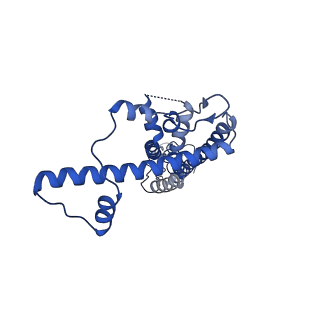 21140_6vai_T_v1-2
Cryo-EM structure of a dimer of undecameric human CALHM2