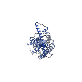21141_6vak_A_v1-2
Cryo-EM structure of human CALHM2