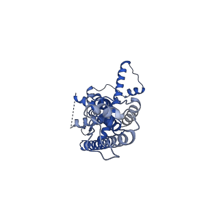 21141_6vak_B_v1-2
Cryo-EM structure of human CALHM2