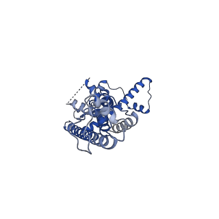 21141_6vak_C_v1-2
Cryo-EM structure of human CALHM2