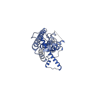 21141_6vak_F_v1-2
Cryo-EM structure of human CALHM2