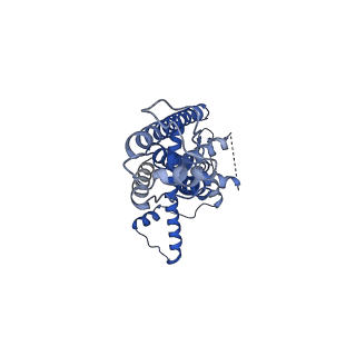 21141_6vak_G_v1-2
Cryo-EM structure of human CALHM2
