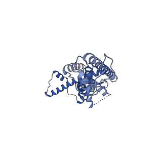 21141_6vak_I_v1-2
Cryo-EM structure of human CALHM2
