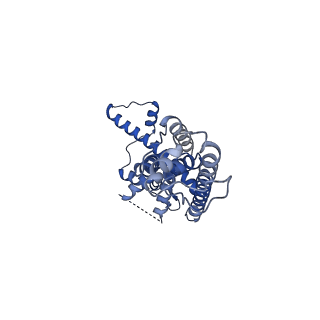 21141_6vak_K_v1-2
Cryo-EM structure of human CALHM2