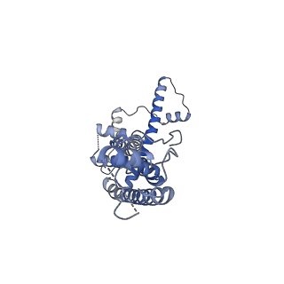 21142_6val_A_v1-2
Cryo-EM structure of an undecameric chicken CALHM1 and human CALHM2 chimera