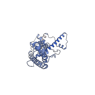 21142_6val_B_v1-2
Cryo-EM structure of an undecameric chicken CALHM1 and human CALHM2 chimera