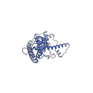 21142_6val_C_v1-2
Cryo-EM structure of an undecameric chicken CALHM1 and human CALHM2 chimera
