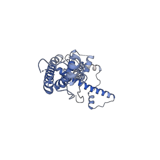 21142_6val_D_v1-2
Cryo-EM structure of an undecameric chicken CALHM1 and human CALHM2 chimera