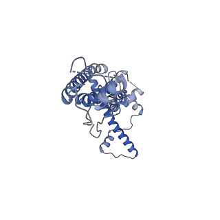 21142_6val_E_v1-2
Cryo-EM structure of an undecameric chicken CALHM1 and human CALHM2 chimera