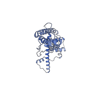 21142_6val_F_v1-2
Cryo-EM structure of an undecameric chicken CALHM1 and human CALHM2 chimera