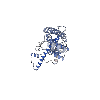 21142_6val_G_v1-2
Cryo-EM structure of an undecameric chicken CALHM1 and human CALHM2 chimera