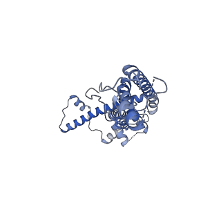 21142_6val_H_v1-2
Cryo-EM structure of an undecameric chicken CALHM1 and human CALHM2 chimera
