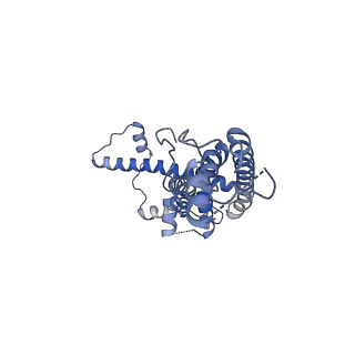 21142_6val_I_v1-2
Cryo-EM structure of an undecameric chicken CALHM1 and human CALHM2 chimera