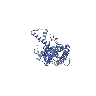 21142_6val_J_v1-2
Cryo-EM structure of an undecameric chicken CALHM1 and human CALHM2 chimera