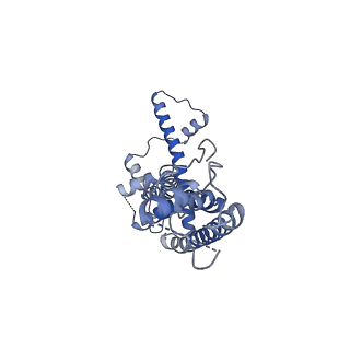 21142_6val_K_v1-2
Cryo-EM structure of an undecameric chicken CALHM1 and human CALHM2 chimera