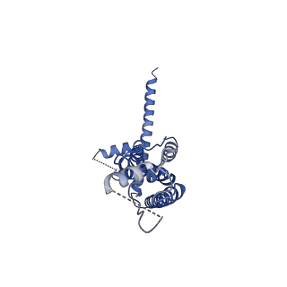 21143_6vam_B_v1-3
Cryo-EM structure of octameric chicken CALHM1